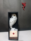 بوک نوک هری پاتر